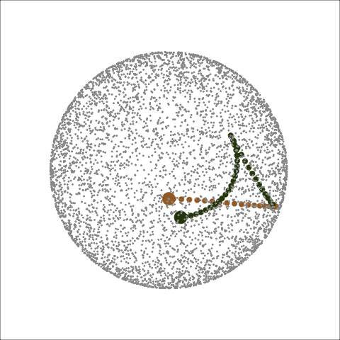 Animation of two paths in a space characterised by small grey dots. The shape of the grey dots is a torus.