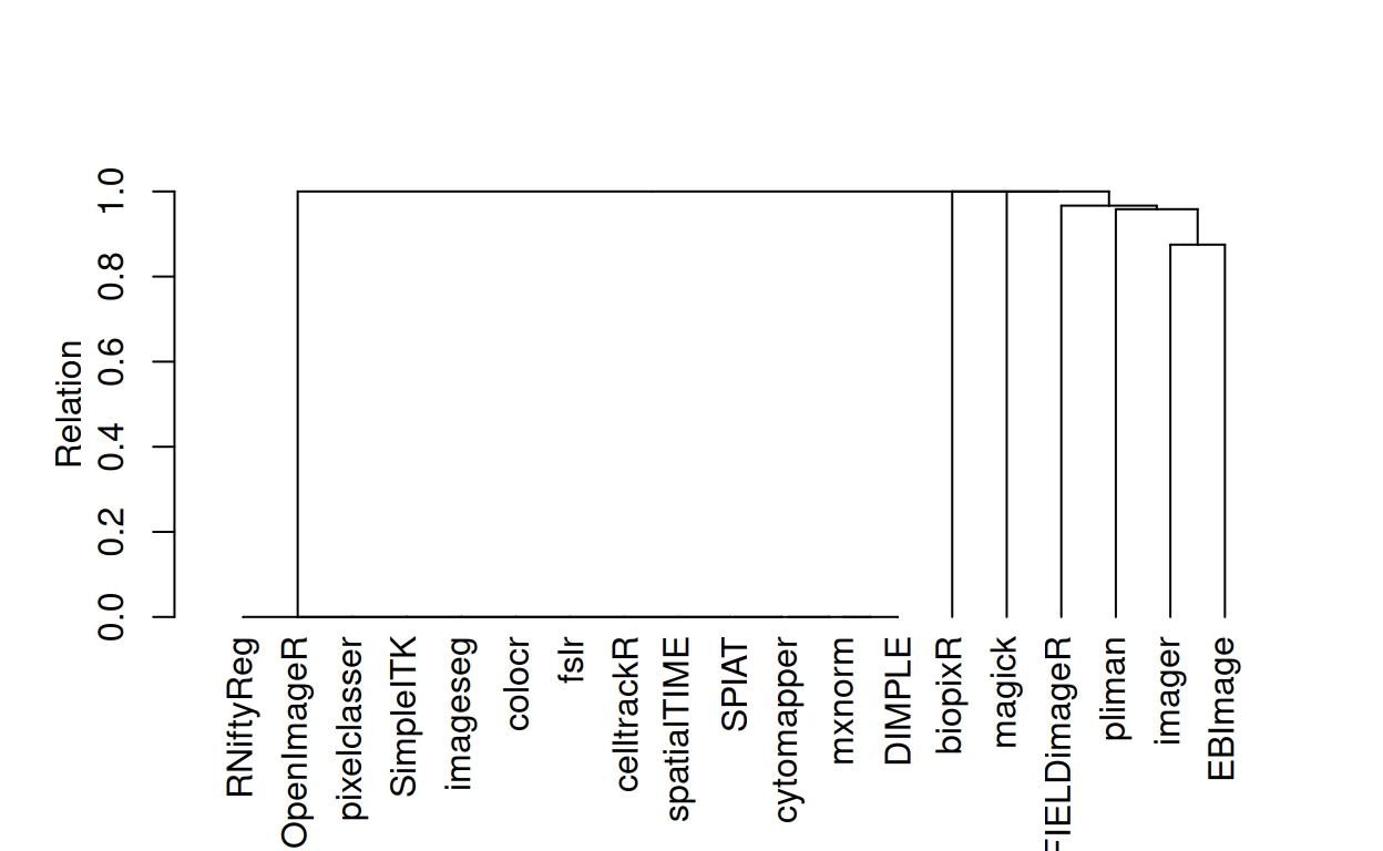 Dendrogram of Hierarchically Clustered Package Dependencies: The dendrogram depicts the outcomes of a hierarchical clustering of various image analysis packages, based on their named dependencies and imports, as extracted from their respective DESCRIPTION files. Each branch represents a distinct package, and the proximity between branches reflects the degree of similarity in their dependencies and imports. The required distance matrix was calculated using the binary method, also known as Jaccard distance. To perform the hierarchical clustering, the complete linkage clustering method was employed (R Core Team 2023).