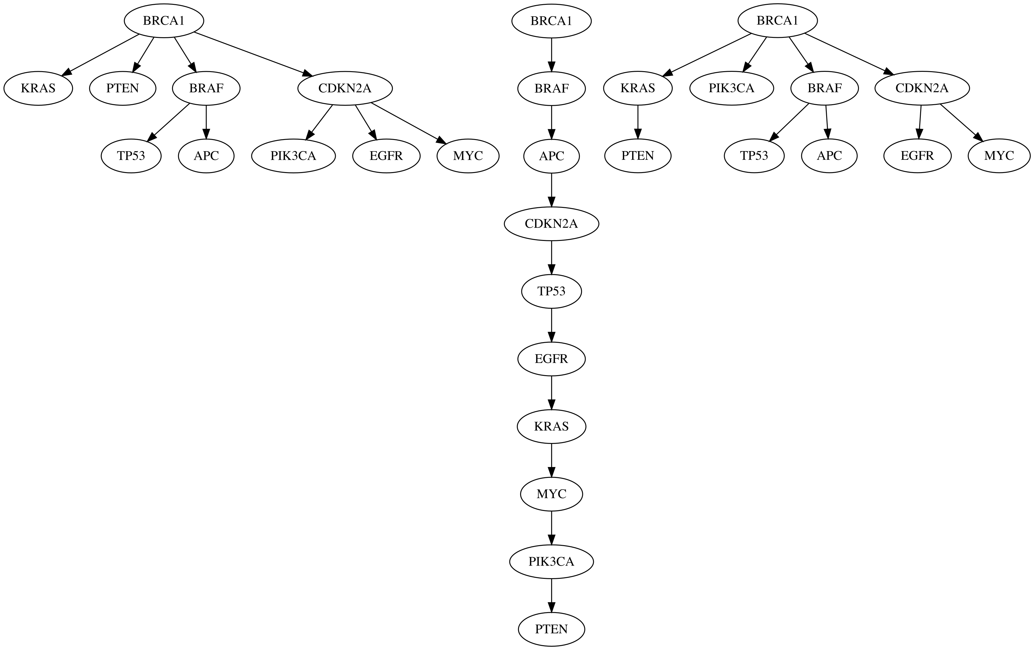 `phylotree_real`, `phylotree_alg1` and `phylotree_alg2`, from the left to the right.